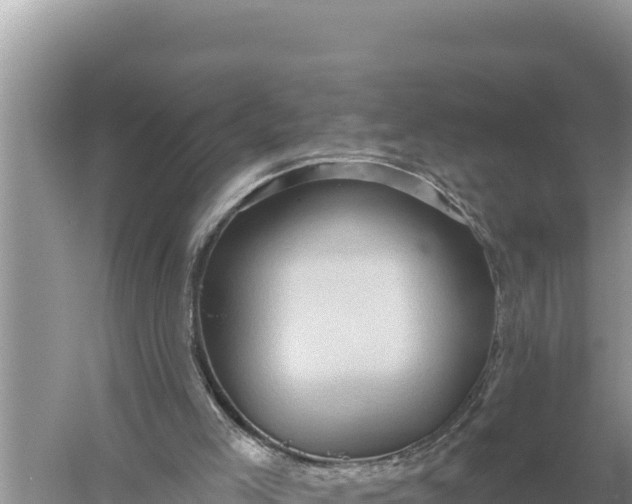 X0000059060005200510212039