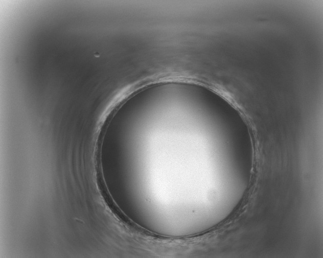 X0000059060007200510212039