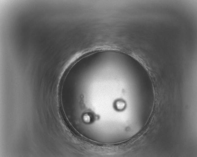 X0000059060008200510212039