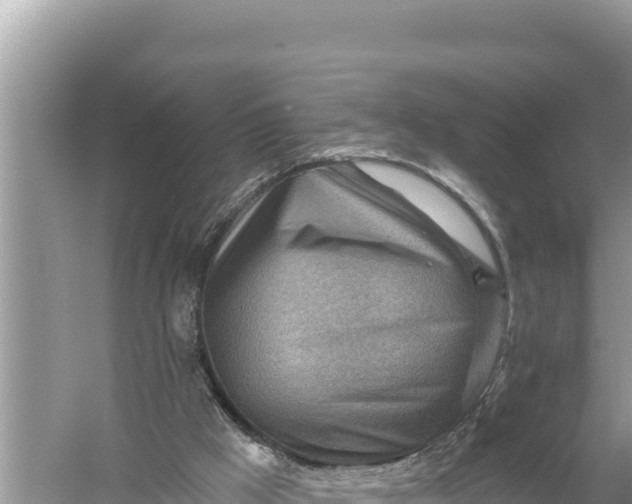 X0000059060009200510212039