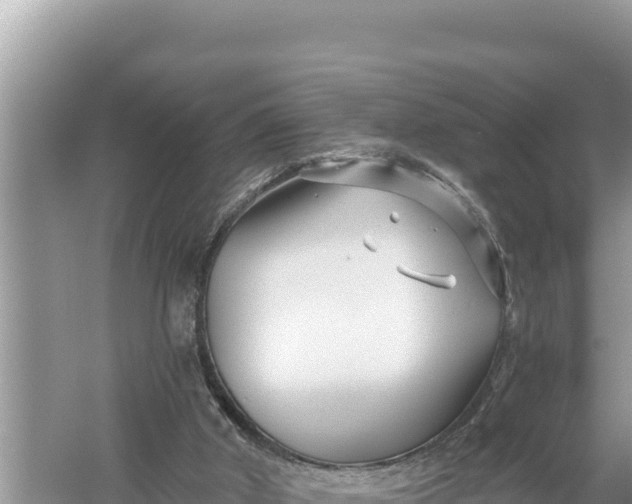 X0000059060010200510212039