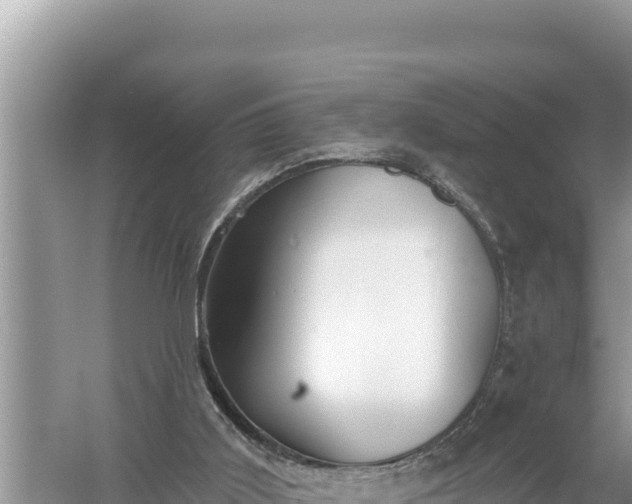 X0000059060011200510212039