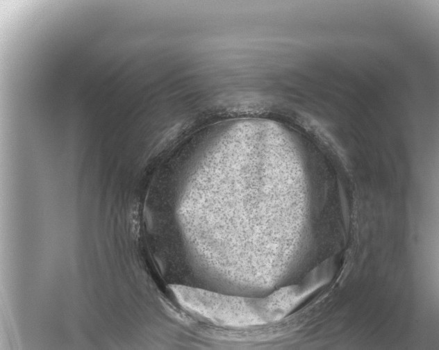 X0000059060017200510212039