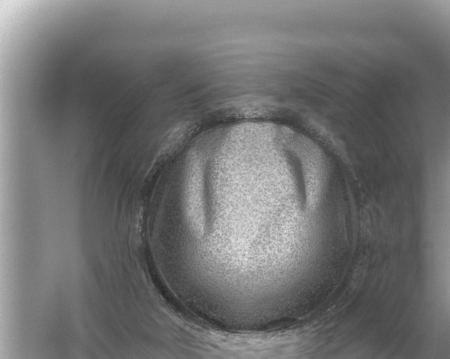 X0000059060018200510212039