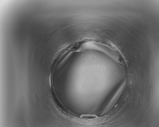 X0000059060019200510212039