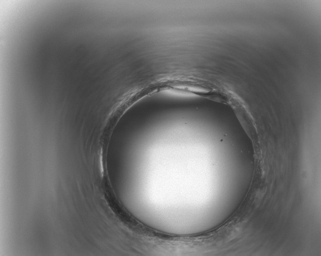 X0000059060020200510212039