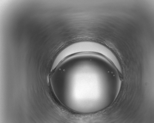 X0000059060021200510212039