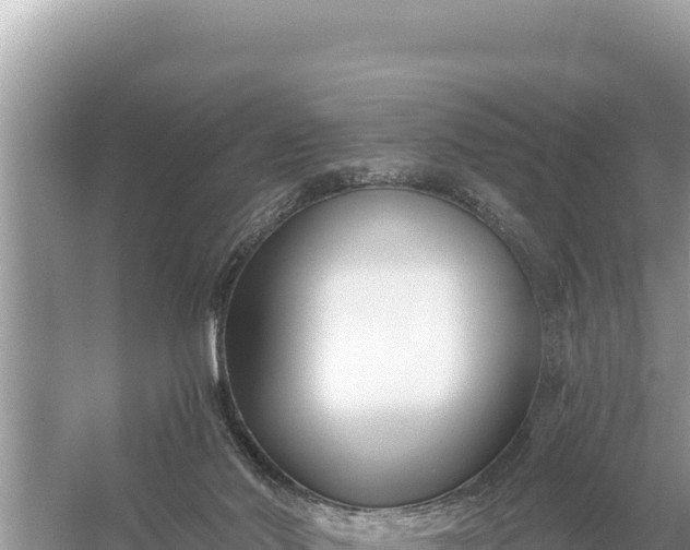 X0000059060022200510212038