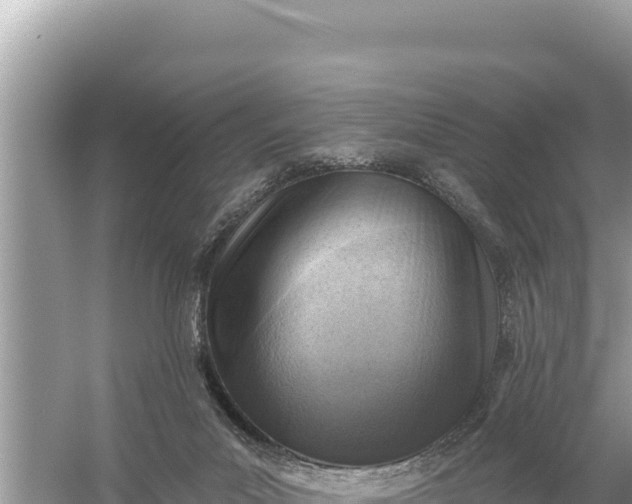 X0000059060023200510212038