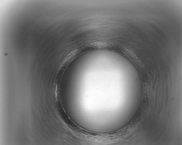 X0000059060024200510212038