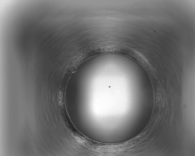 X0000059060025200510212038