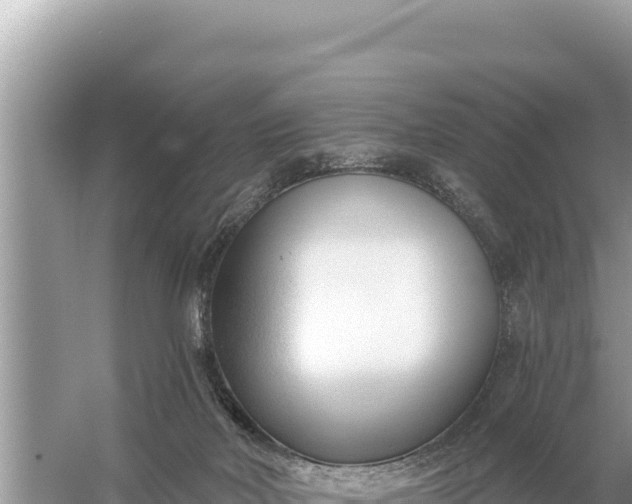 X0000059060026200510212038