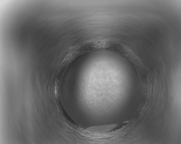 X0000059060035200510212038