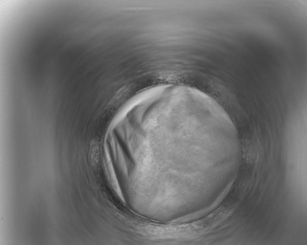 X0000059060036200510212038