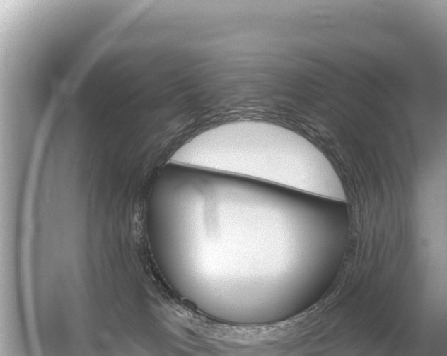 X0000059060037200510212038