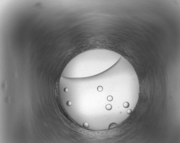 X0000059060038200510212038