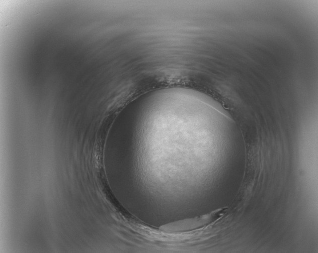 X0000059060039200510212038