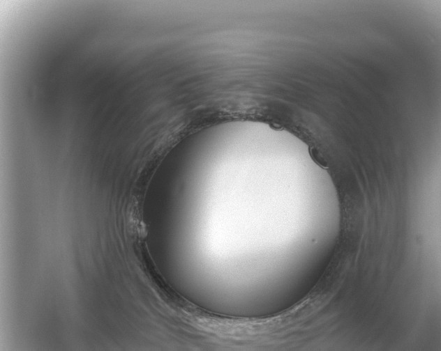 X0000059060040200510212038