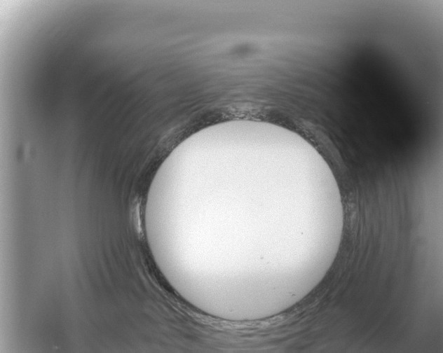 X0000059060042200510212038