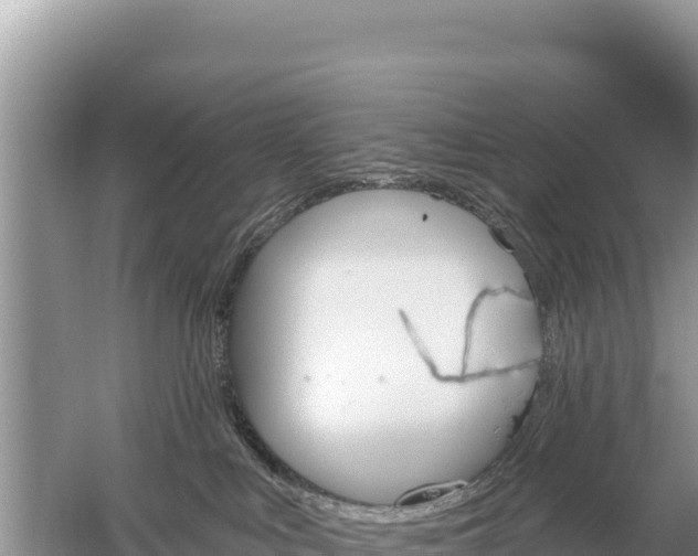 X0000059060043200510212038