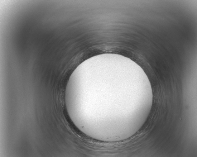 X0000059060044200510212038