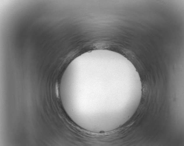 X0000059060046200510212038