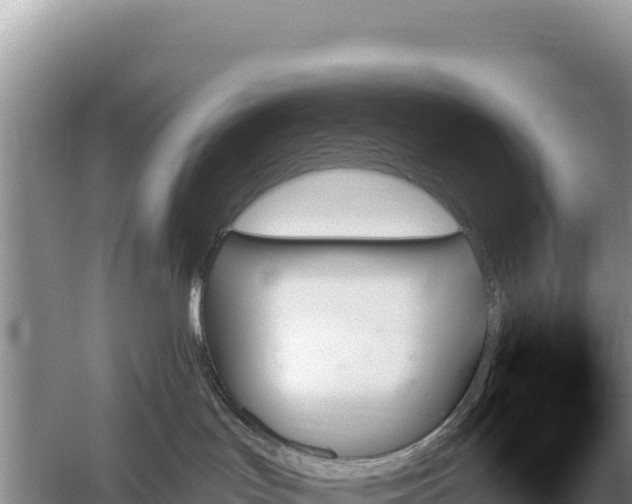 X0000059060047200510212038