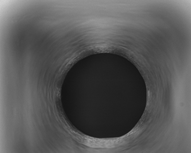 X0000059060048200510212038