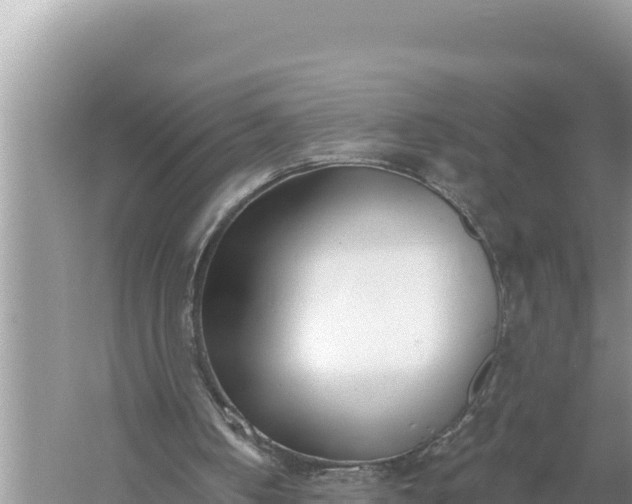 X0000059060050200510212037