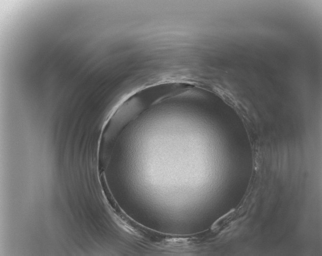 X0000059060052200510212037