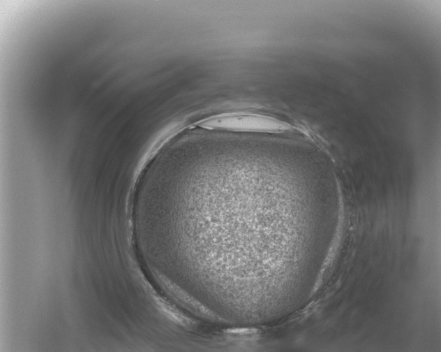 X0000059060053200510212037