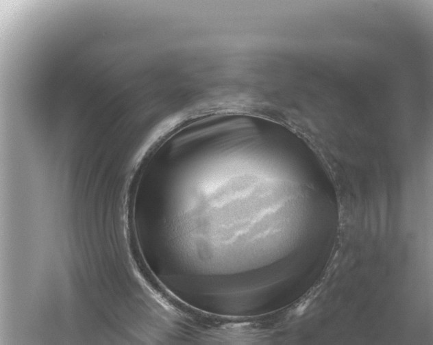 X0000059060054200510212037