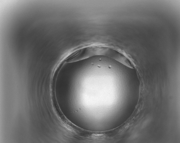 X0000059060055200510212037