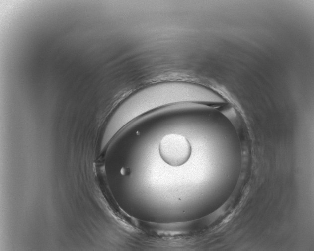 X0000059060057200510212037