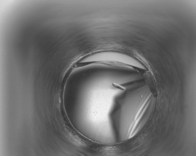 X0000059060059200510212037