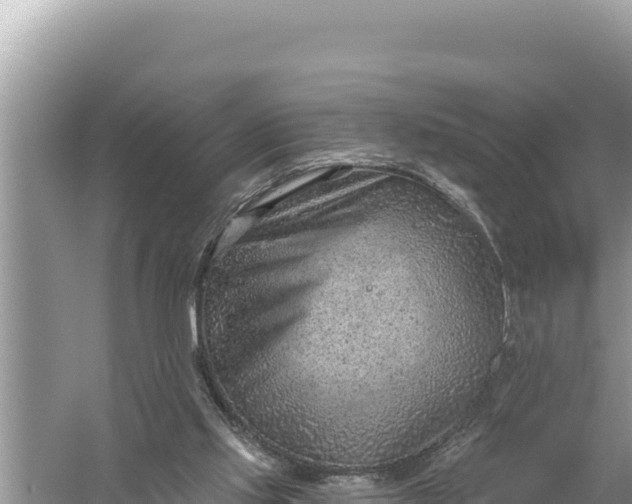 X0000059060061200510212037