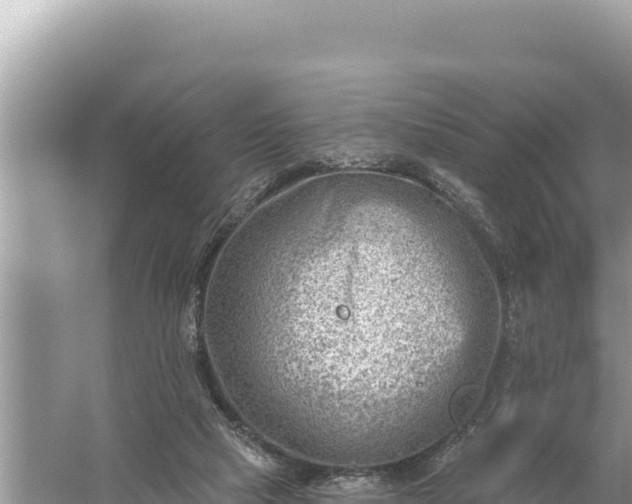 X0000059060065200510212038