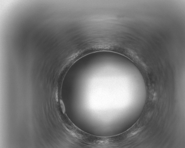 X0000059060068200510212038