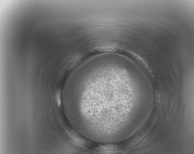 X0000059060069200510212038