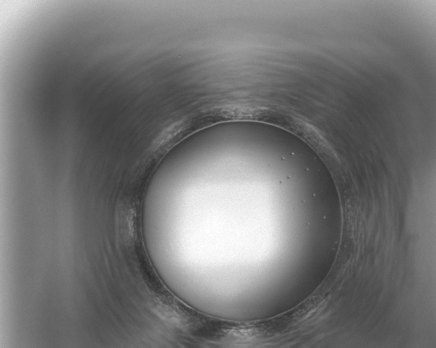 X0000059060071200510212038