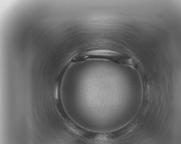 X0000059060076200510212038