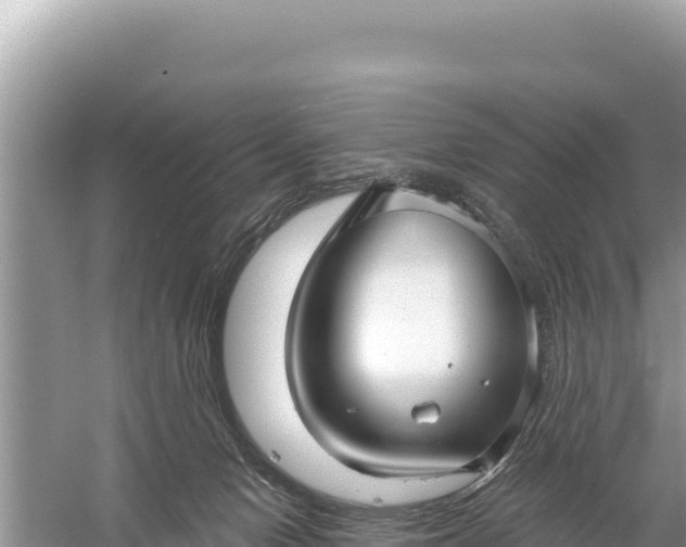 X0000059060078200510212038