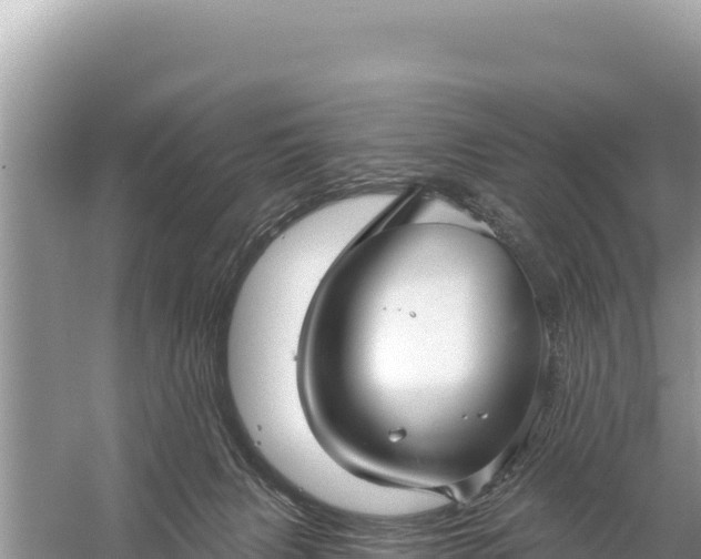 X0000059060079200510212038