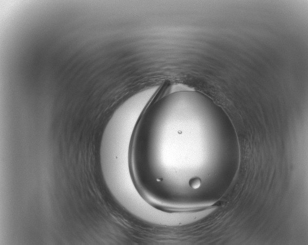 X0000059060080200510212038