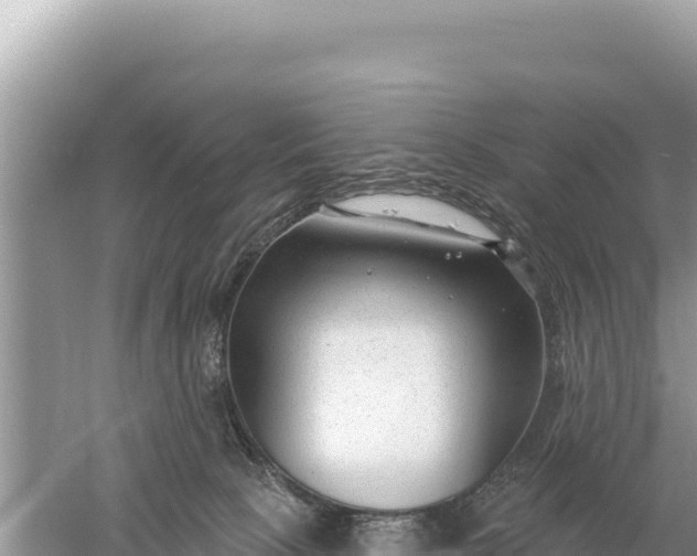 X0000059060081200510212038