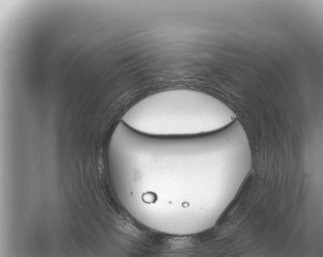 X0000059060085200510212038