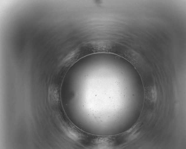 X0000059060086200510212038