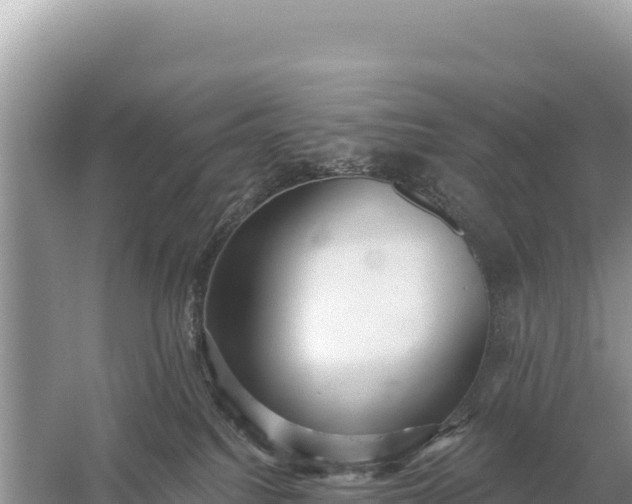 X0000059060088200510212038