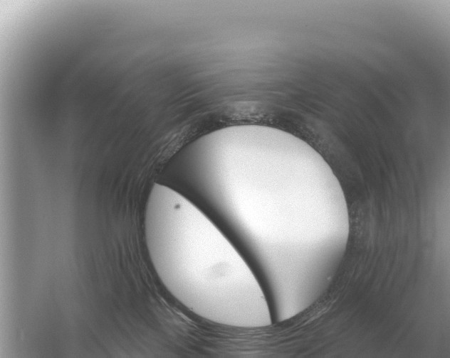 X0000059060089200510212038