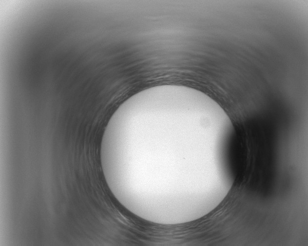 X0000059060091200510212038